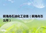 碧海舟石油化工设备（碧海舟怎么样）