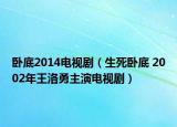 卧底2014电视剧（生死卧底 2002年王洛勇主演电视剧）