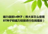 磁力连接bt种子（教大家怎么使用BT种子和磁力链接进行在线播放）