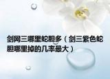 剑网三哪里蛇胆多（剑三紫色蛇胆哪里掉的几率最大）