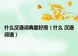什么汉语词典最好用（什么 汉语词语）