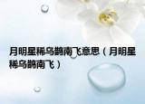 月明星稀乌鹊南飞意思（月明星稀乌鹊南飞）
