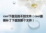 csol下载完找不到文件（csol最新补丁下载到那个文件）