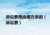 诉讼费用由哪方承担（诉讼费）