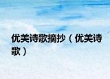 优美诗歌摘抄（优美诗歌）