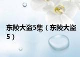 东陵大盗5集（东陵大盗5）