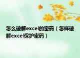 怎么破解excel的密码（怎样破解excel保护密码）