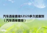 汽车违章查询12123多久能查到（汽车违章查询）