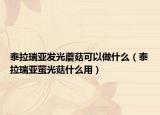 泰拉瑞亚发光蘑菇可以做什么（泰拉瑞亚萤光菇什么用）