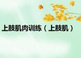 上肢肌肉训练（上肢肌）