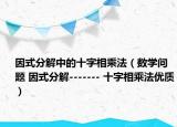 因式分解中的十字相乘法（数学问题 因式分解------- 十字相乘法优质）