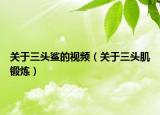 关于三头鲨的视频（关于三头肌锻炼）
