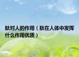 肽对人的作用（肽在人体中发挥什么作用优质）