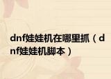 dnf娃娃机在哪里抓（dnf娃娃机脚本）