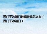 西门子冰箱门玻璃破碎怎么办（西门子冰箱门）
