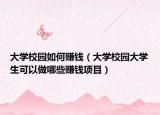 大学校园如何赚钱（大学校园大学生可以做哪些赚钱项目）