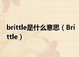 brittle是什么意思（Brittle）