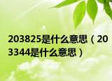 203825是什么意思（203344是什么意思）