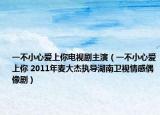 一不小心爱上你电视剧主演（一不小心爱上你 2011年麦大杰执导湖南卫视情感偶像剧）