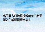 电子琴入门教程视频app（电子琴入门教程视频全集）