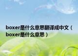 boxer是什么意思翻译成中文（boxer是什么意思）