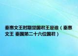 秦惠文王时期楚国君王是谁（秦惠文王 秦国第二十六位国君）