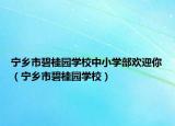 宁乡市碧桂园学校中小学部欢迎你（宁乡市碧桂园学校）
