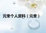 元奎个人资料（元奎）