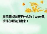 魔兽黑珍珠是干什么的（wow黑珍珠在哪边打出来）