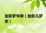 加奈梦华录（加奈儿梦奈）