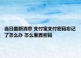 当日最新消息 支付宝支付密码忘记了怎么办 怎么重置密码