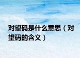 对望码是什么意思（对望码的含义）