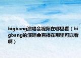 bigbang演唱会视频在哪里看（bigbang的演唱会直播在哪里可以看啊）
