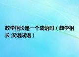 教学相长是一个成语吗（教学相长 汉语成语）