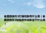 金庸群侠传3打通经脉有什么用（金庸群侠传3加强版各经脉是干什么用）