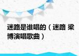 迷路是谁唱的（迷路 梁博演唱歌曲）