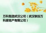 万科集团武汉公司（武汉联投万科房地产有限公司）