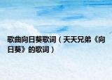 歌曲向日葵歌词（天天兄弟《向日葵》的歌词）