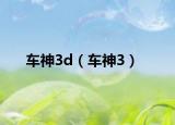 车神3d（车神3）