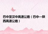 巴中至汉中高速公路（巴中—陕西高速公路）