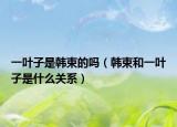 一叶子是韩束的吗（韩束和一叶子是什么关系）