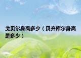 戈贝尔身高多少（贝齐库尔身高是多少）