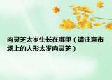 肉灵芝太岁生长在哪里（请注意市场上的人形太岁肉灵芝）