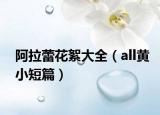 阿拉蕾花絮大全（all黄小短篇）