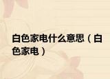 白色家电什么意思（白色家电）