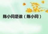陈小同是谁（陈小同）