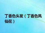 丁香色头发（丁香色凤仙花）