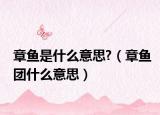 章鱼是什么意思?（章鱼团什么意思）