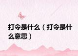 打令是什么（打令是什么意思）