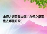 永恒之塔采集去哪（永恒之塔采集去哪里升级）